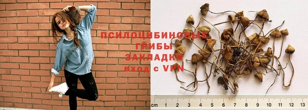 герыч Абаза